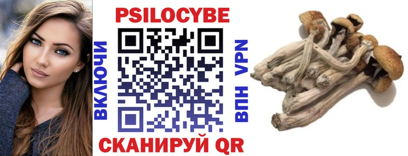 Псилоцибиновые грибы GOLDEN TEACHER наркота Белинский