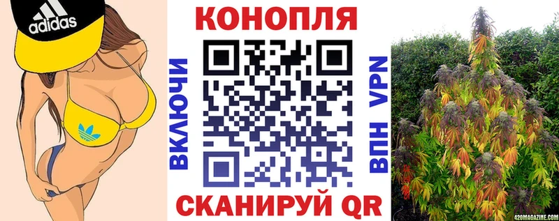 где купить наркоту  Белинский  Бошки Шишки THC 21% 